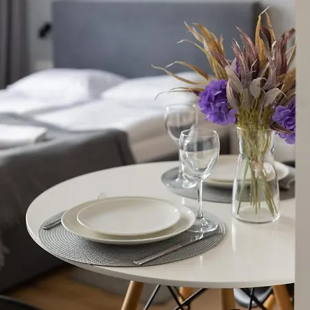 Wola Pet-friendly With Ac Slawinska By Renters *